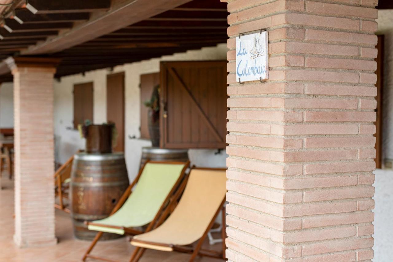 Agriturismo La Rombaia Кастильоне дела Пеская Екстериор снимка